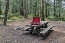 Camp Stove
