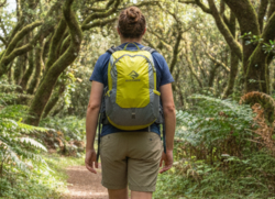 Daypack